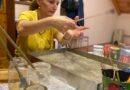 BOFSAD’ da Ebru Kursu başladı